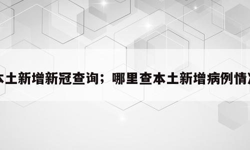 本土新增新冠查询；哪里查本土新增病例情况