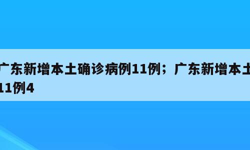 广东新增本土确诊病例11例；广东新增本土11例4