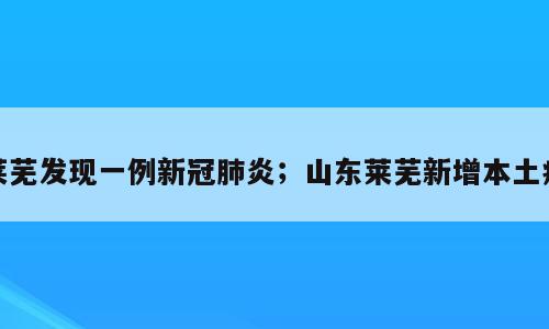 莱芜发现一例新冠肺炎；山东莱芜新增本土病