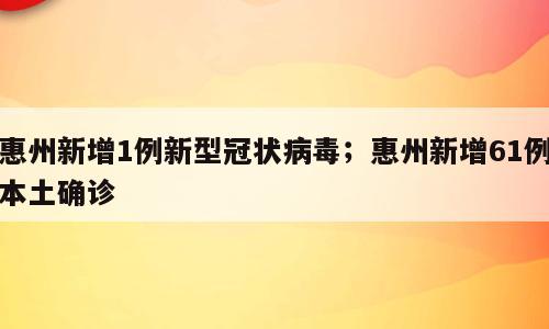 惠州新增1例新型冠状病毒；惠州新增61例本土确诊