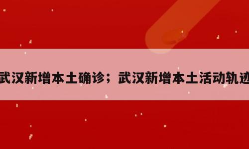 武汉新增本土确诊；武汉新增本土活动轨迹