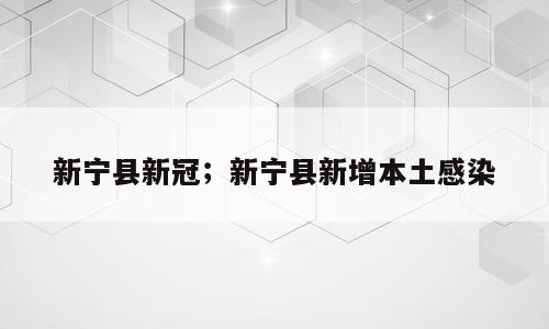 新宁县新冠；新宁县新增本土感染