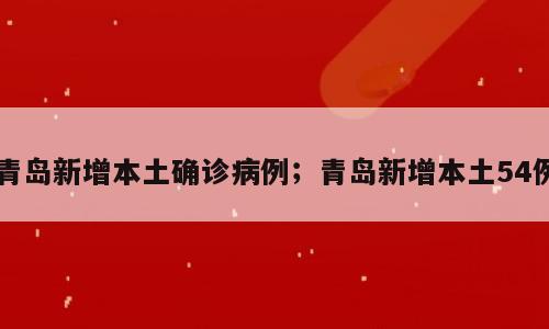 青岛新增本土确诊病例；青岛新增本土54例