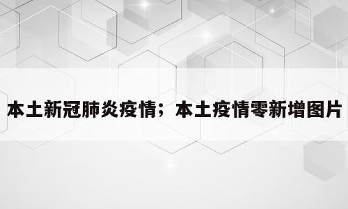 本土新冠肺炎疫情；本土疫情零新增图片