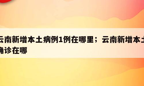 云南新增本土病例1例在哪里；云南新增本土确诊在哪