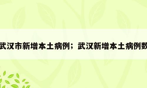 武汉市新增本土病例；武汉新增本土病例数