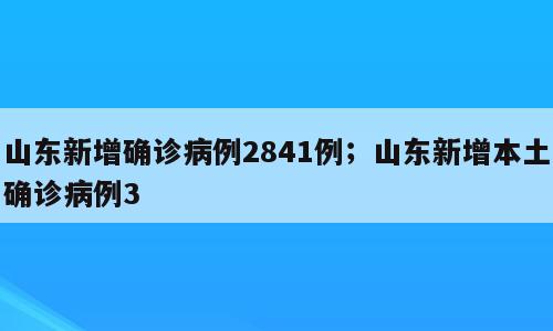 山东新增确诊病例2841例；山东新增本土确诊病例3
