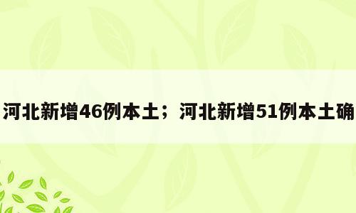 河北新增46例本土；河北新增51例本土确