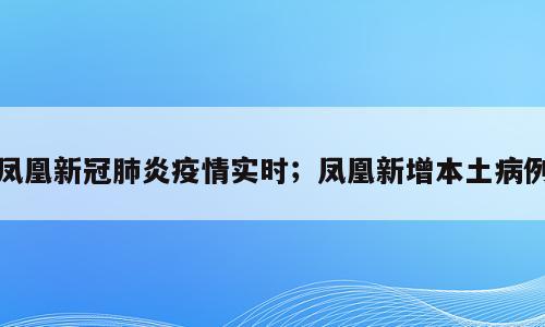 凤凰新冠肺炎疫情实时；凤凰新增本土病例