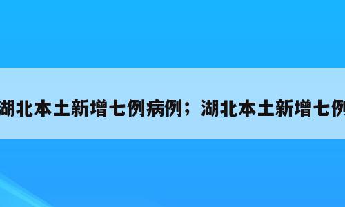湖北本土新增七例病例；湖北本土新增七例