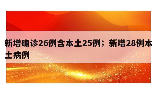新增确诊26例含本土25例；新增28例本土病例