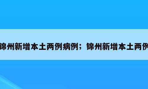 锦州新增本土两例病例；锦州新增本土两例