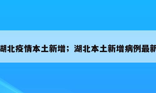 湖北疫情本土新增；湖北本土新增病例最新
