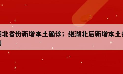湖北省份新增本土确诊；继湖北后新增本土病例