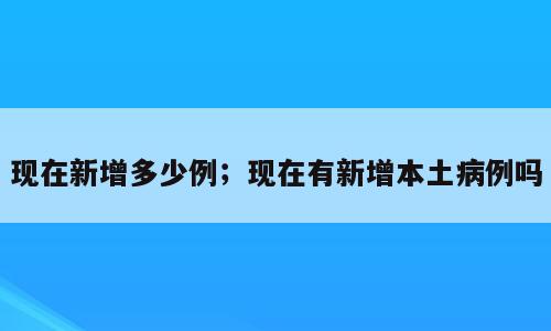 现在新增多少例；现在有新增本土病例吗