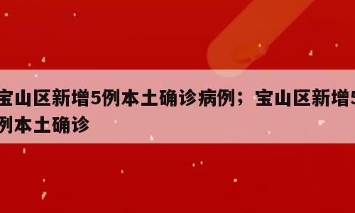 宝山区新增5例本土确诊病例；宝山区新增5例本土确诊