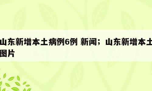 山东新增本土病例6例 新闻；山东新增本土图片