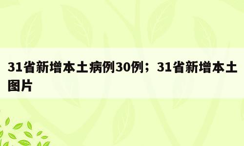 31省新增本土病例30例；31省新增本土图片
