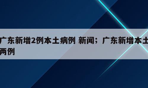 广东新增2例本土病例 新闻；广东新增本土两例