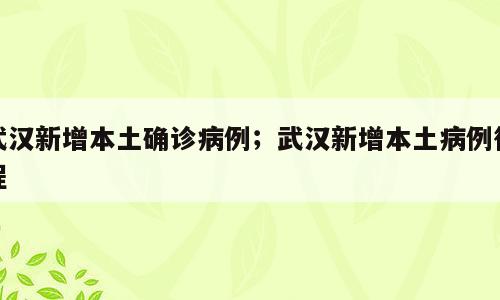 武汉新增本土确诊病例；武汉新增本土病例行程