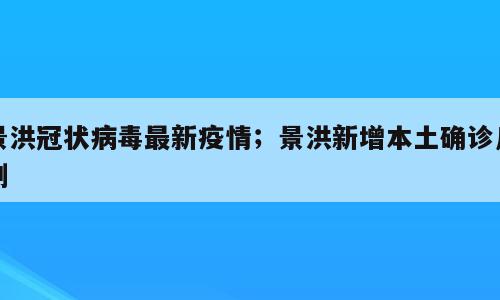 景洪冠状病毒最新疫情；景洪新增本土确诊几例