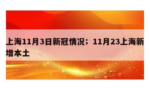 上海11月3日新冠情况；11月23上海新增本土