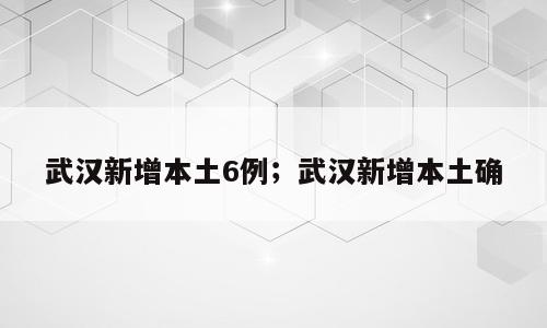 武汉新增本土6例；武汉新增本土确