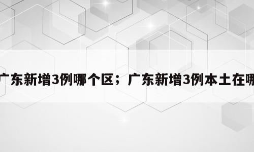 广东新增3例哪个区；广东新增3例本土在哪