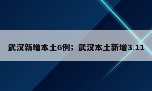 武汉新增本土6例；武汉本土新增3.11