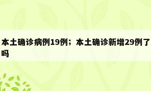本土确诊病例19例；本土确诊新增29例了吗