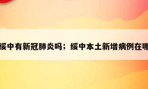 绥中有新冠肺炎吗；绥中本土新增病例在哪