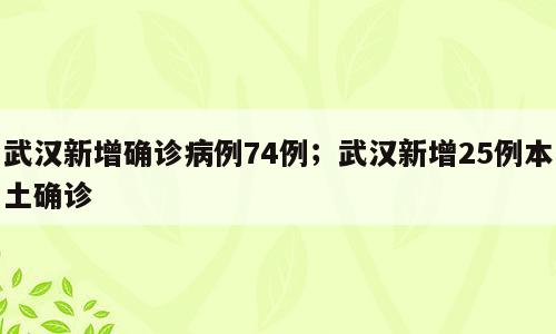 武汉新增确诊病例74例；武汉新增25例本土确诊