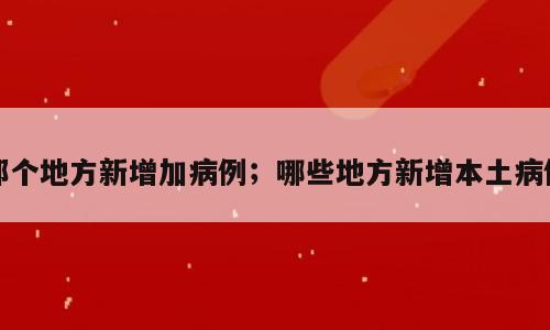 那个地方新增加病例；哪些地方新增本土病例