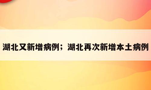 湖北又新增病例；湖北再次新增本土病例