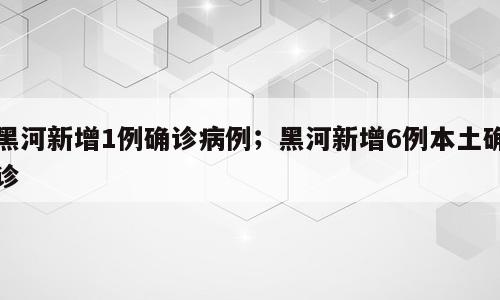 黑河新增1例确诊病例；黑河新增6例本土确诊