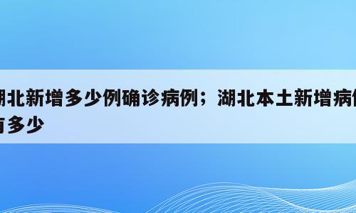 湖北新增多少例确诊病例；湖北本土新增病例有多少