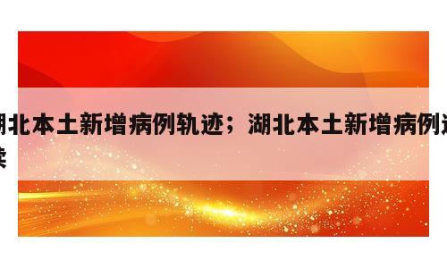 湖北本土新增病例轨迹；湖北本土新增病例连续