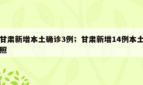 甘肃新增本土确诊3例；甘肃新增14例本土照