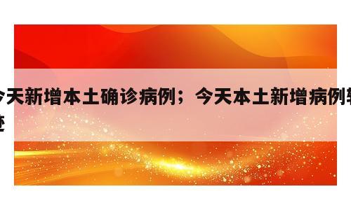 今天新增本土确诊病例；今天本土新增病例轨迹
