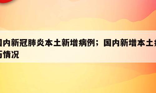 国内新冠肺炎本土新增病例；国内新增本土病历情况