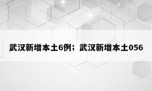 武汉新增本土6例；武汉新增本土056
