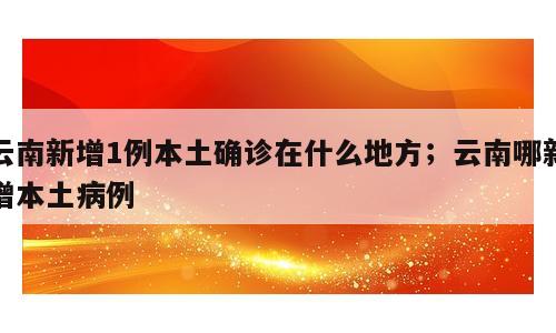 云南新增1例本土确诊在什么地方；云南哪新增本土病例