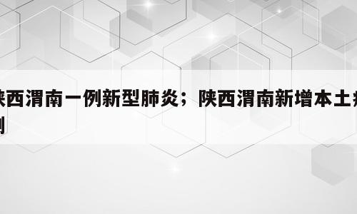 陕西渭南一例新型肺炎；陕西渭南新增本土病例