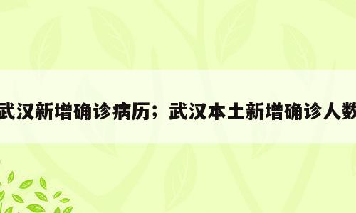 武汉新增确诊病历；武汉本土新增确诊人数