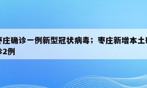 枣庄确诊一例新型冠状病毒；枣庄新增本土确诊2例