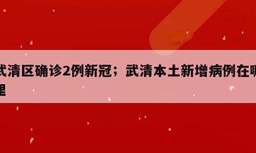 武清区确诊2例新冠；武清本土新增病例在哪里
