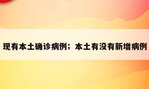 现有本土确诊病例；本土有没有新增病例