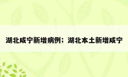 湖北咸宁新增病例；湖北本土新增咸宁
