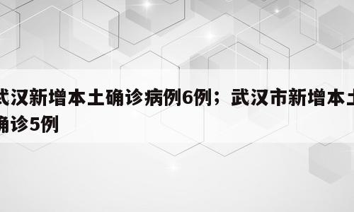 武汉新增本土确诊病例6例；武汉市新增本土确诊5例