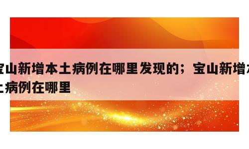 宝山新增本土病例在哪里发现的；宝山新增本土病例在哪里